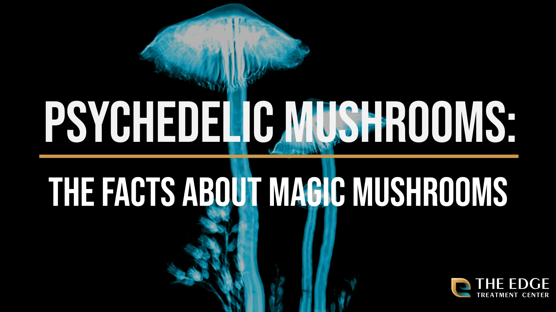 What Are Psychedelic Mushrooms? What Are Psychedelic Mushrooms?