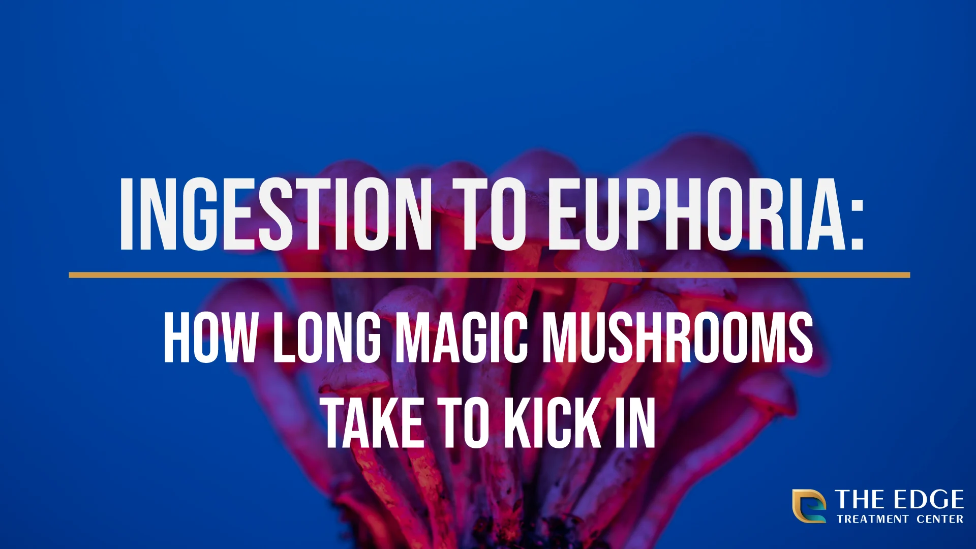 From Ingestion to Euphoria From Ingestion to Euphoria