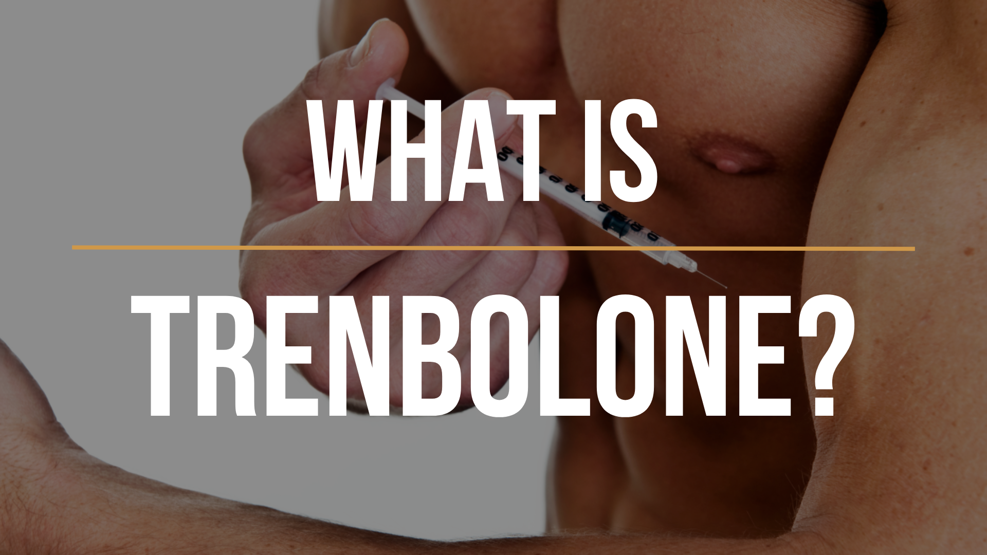 What Is Trenbolone? A Crash Course on This Popular Steroid