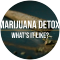 What is Marijuana Detox Like?