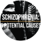 Schizophrenia: 5 Possible Sources of this Devastating Mental Disorder