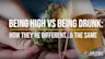 Being High: What Makes It Different From Being Drunk?