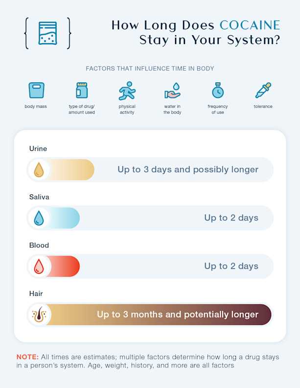 How Long Does Cocaine Stay In Your System how-long-does-cocaine-stay-in-your-system
