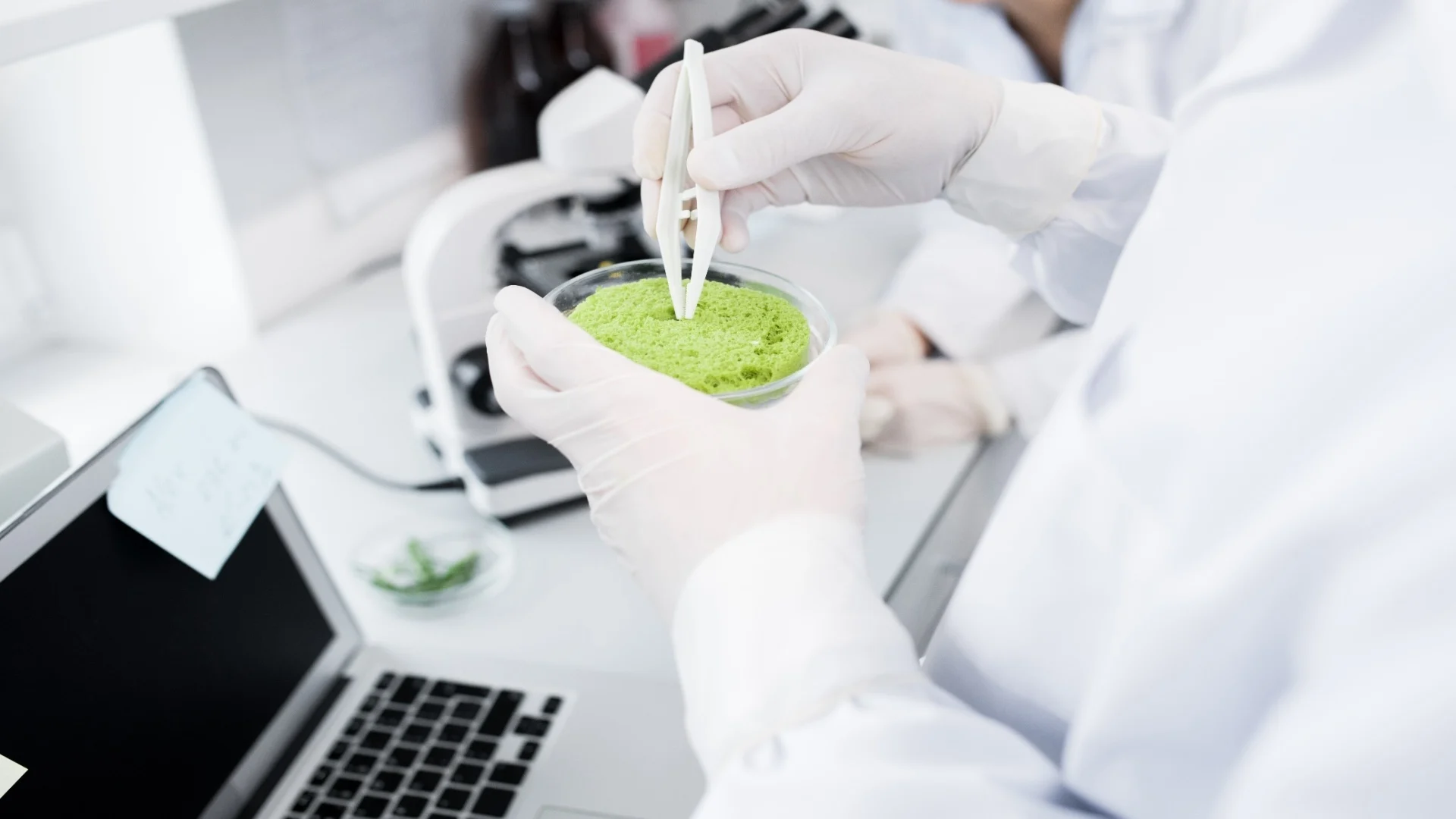 scientist-studying-substances-2025-03-09-08-42-37-utc