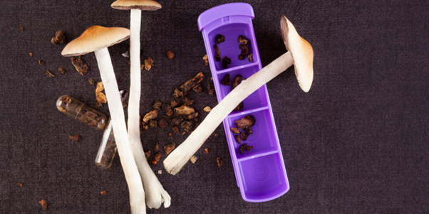 What Are Shrooms?