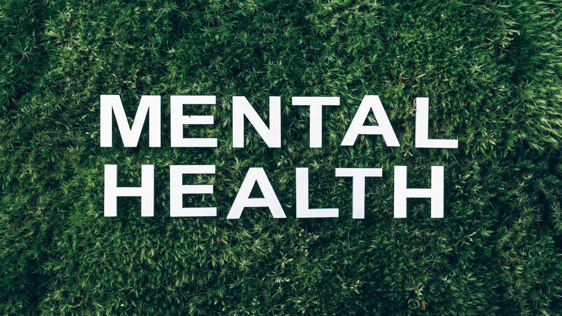 The words “Mental Health” displayed on a lush green background, symbolizing wellness and the importance of online mental health counseling. The words “Mental Health” displayed on a lush green background, symbolizing wellness and the importance of online mental health counseling.