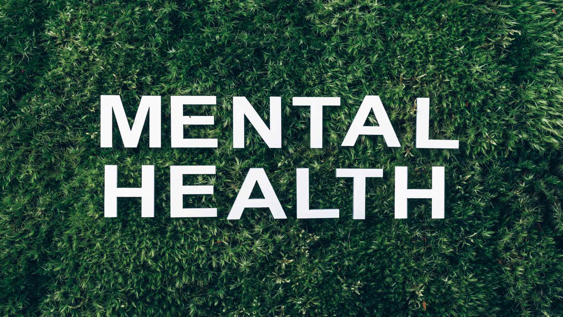 The words “Mental Health” displayed on a lush green background, symbolizing wellness and the importance of online mental health counseling. The words “Mental Health” displayed on a lush green background, symbolizing wellness and the importance of online mental health counseling.