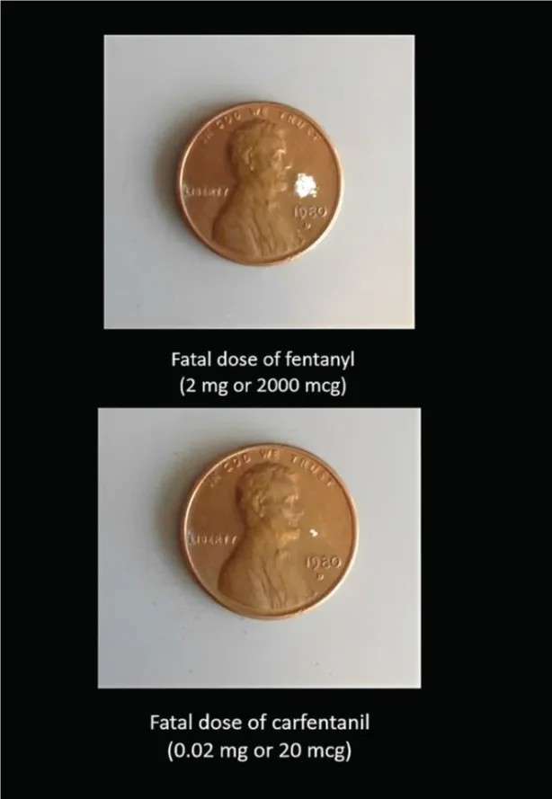 Photo of a lethal dose of fentanyl with a lethal dose of carfentanil.