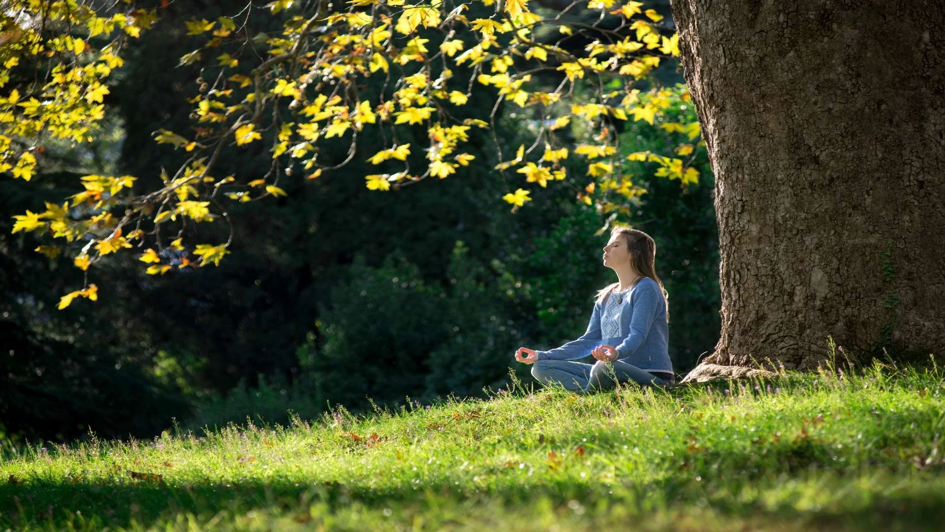 girl-meditates-sitting-on-the-grass-under-a-maple-2024-07-10-04-49-56-utc