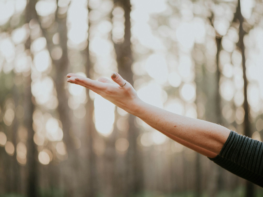 Raised hand in woodland representing an eco-friendly workplace