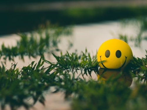 Yellow ball with smile hiding in water-logged grass