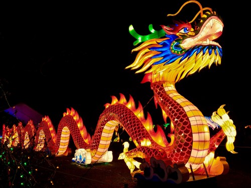 Chinese dragon in lights