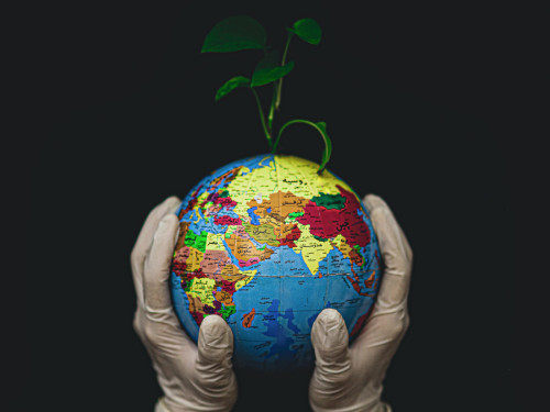 Hands with gloves on clasping a globe with a plant growing out of it