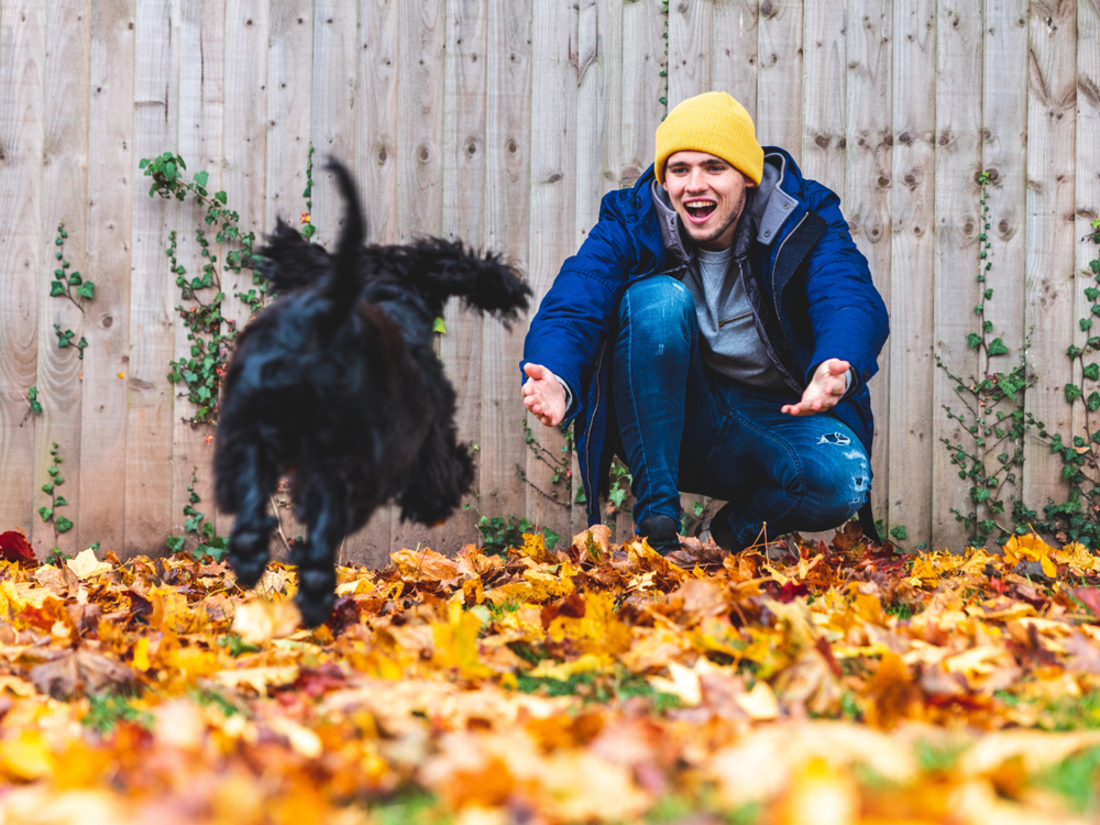 Awareness Day Calendar 2024 | The Happiness Index