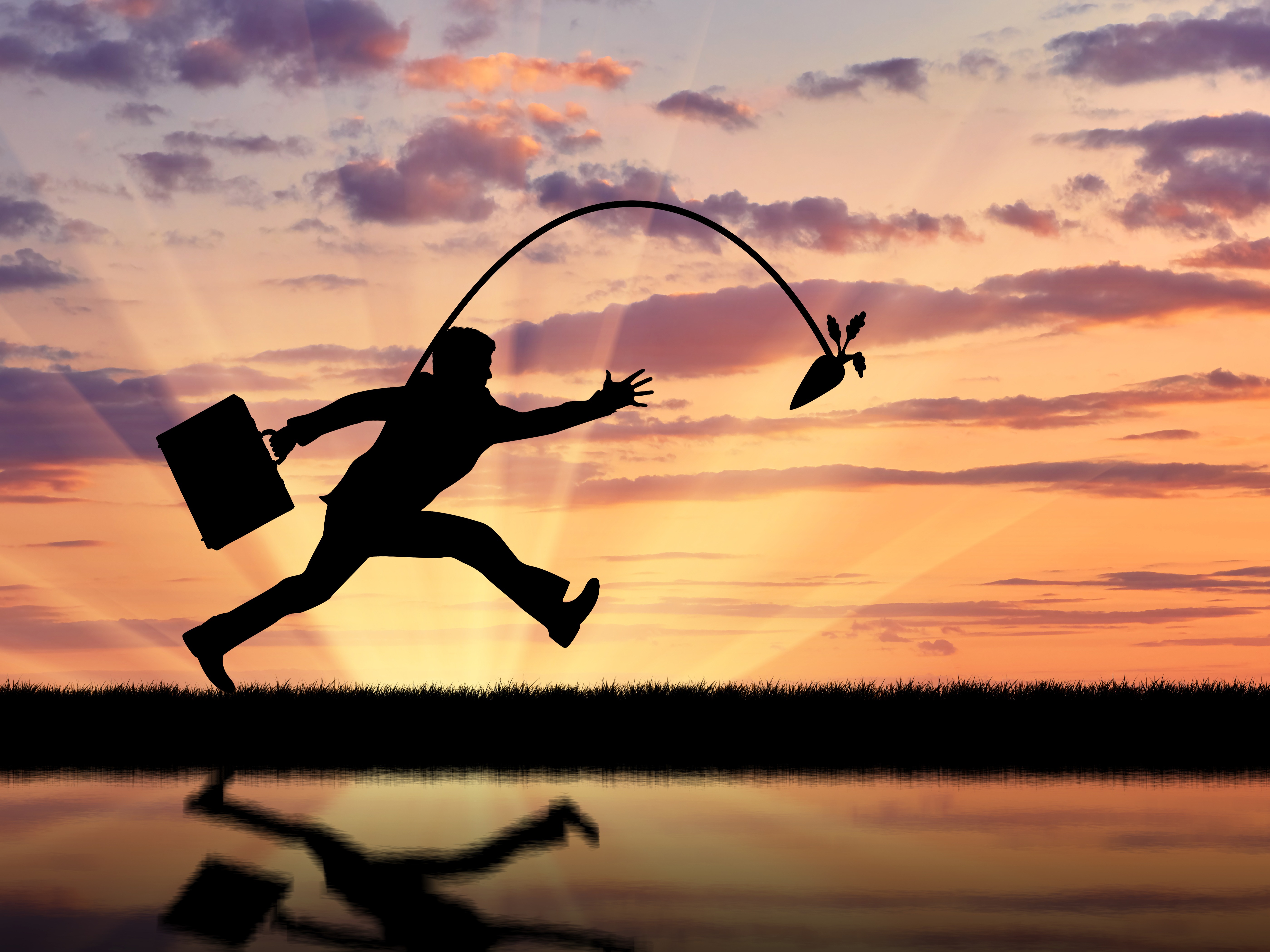 SelfDetermination Theory The Happiness Index