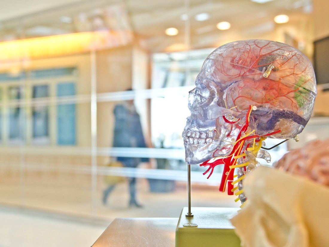 Woman with illustrated brain systems behind her.