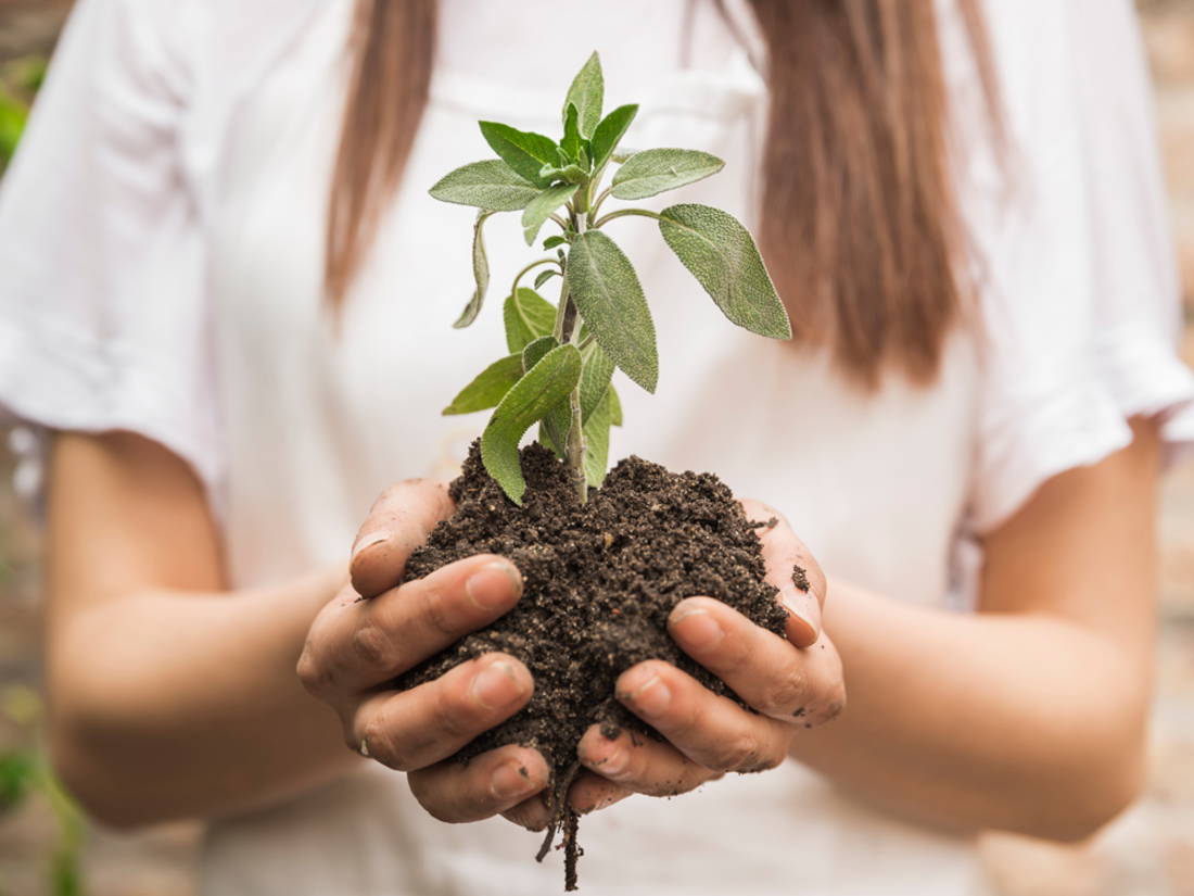 Awareness Day Calendar 2024 The Happiness Index