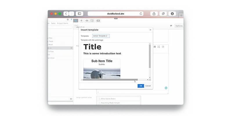 internet browser with view of the tinymce template implementation in it