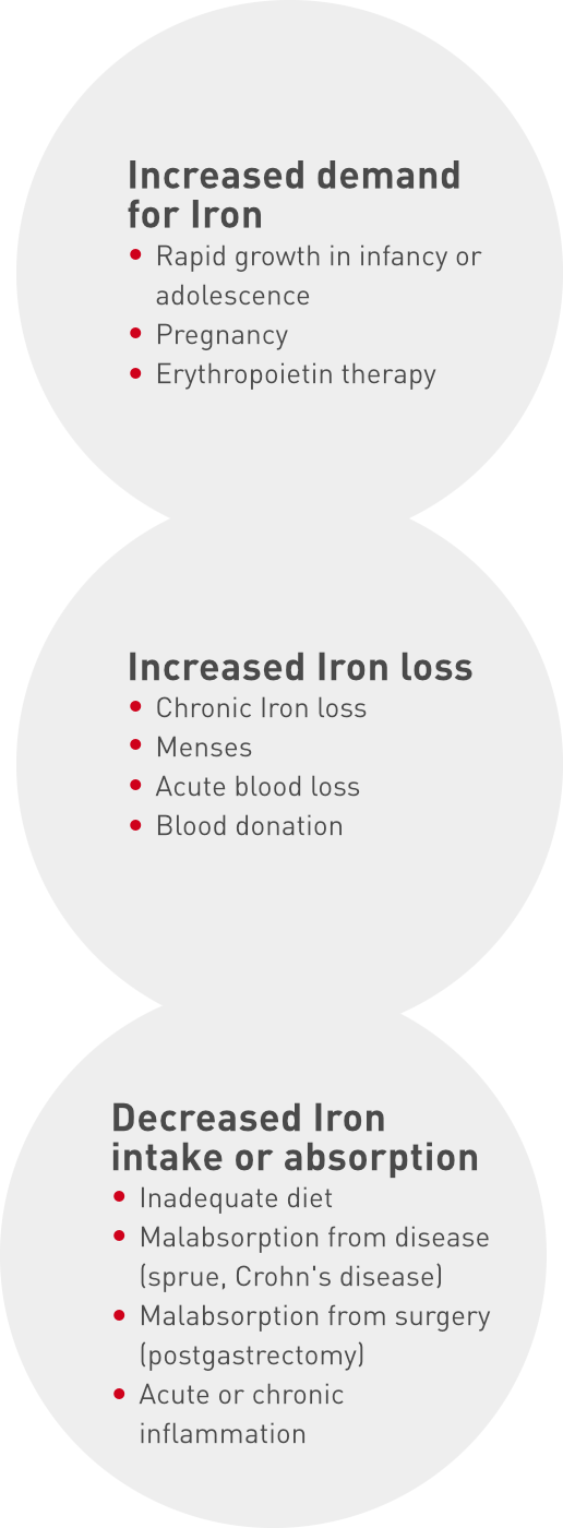 Causes of Iron Deficiency