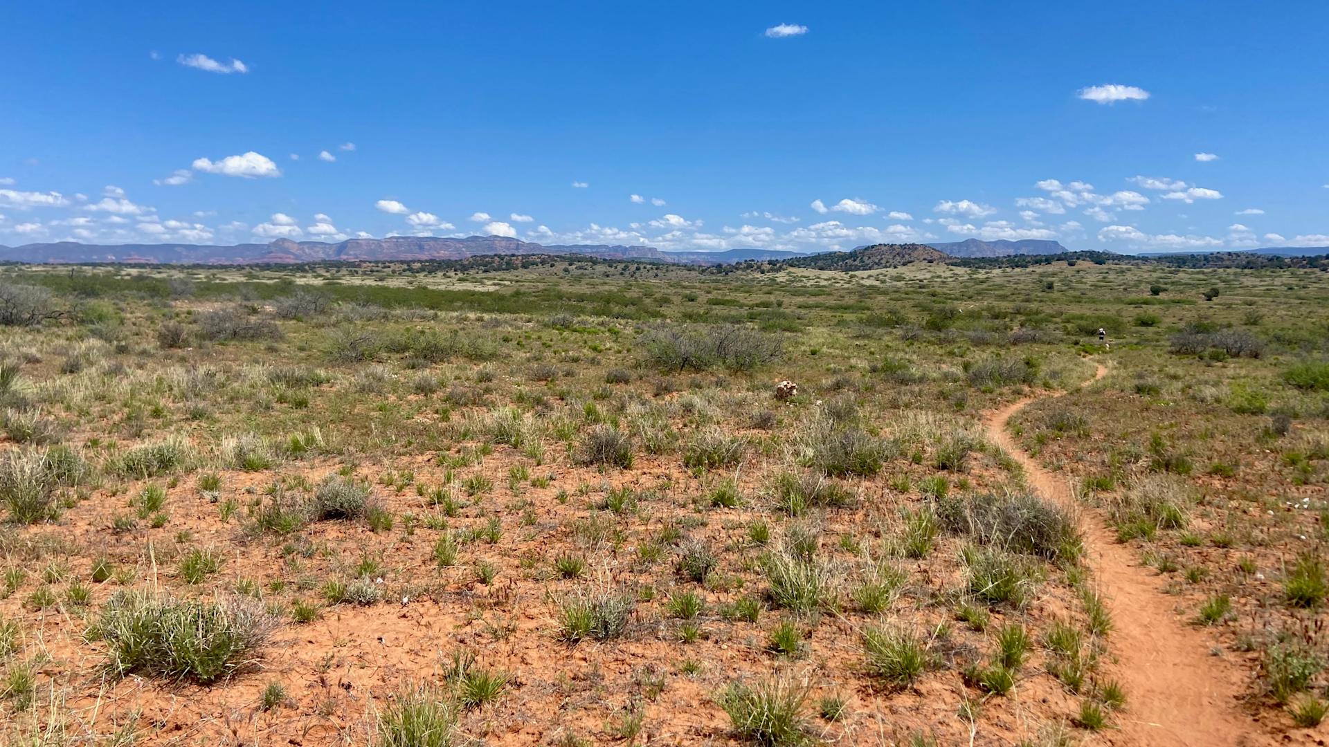 Across the Desert