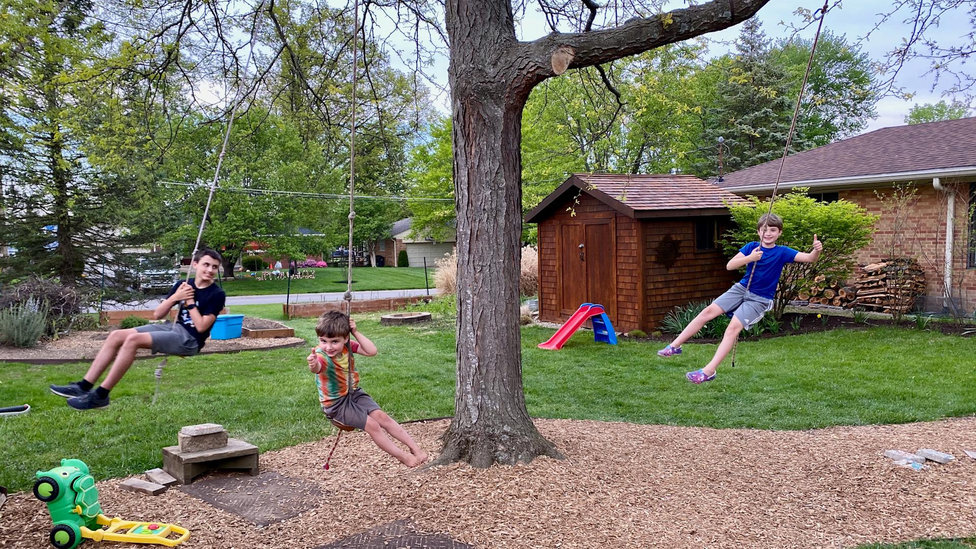 Cover Image for Kids on Swings