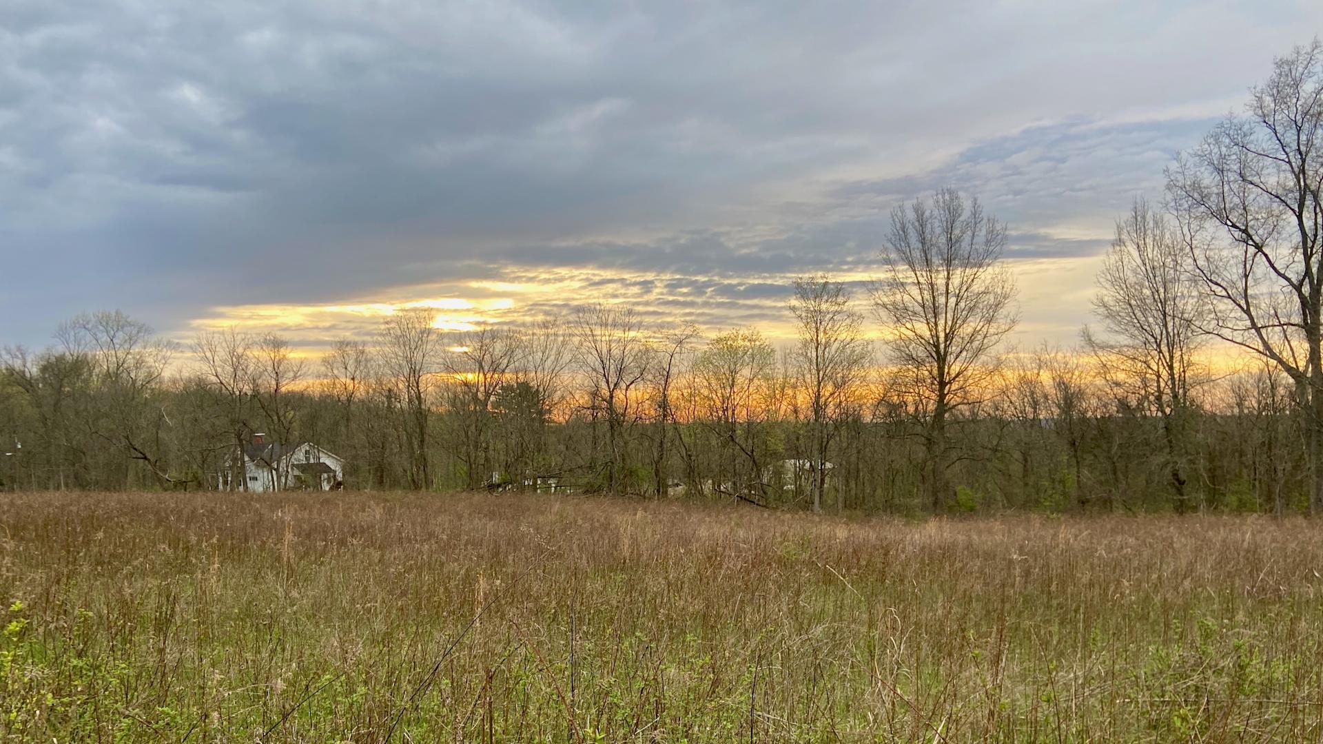 Cover Image for CNC Field at Sunset