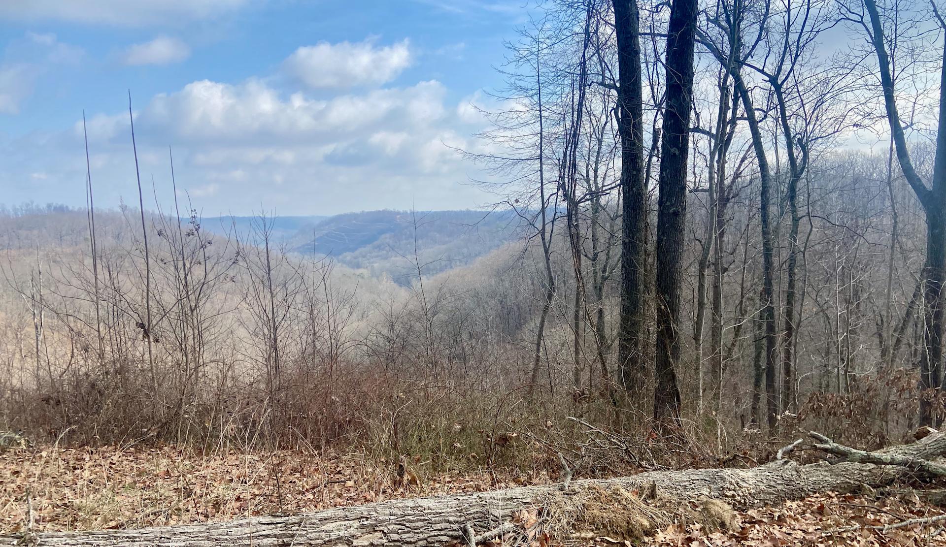 Shawnee South Loop Overlook