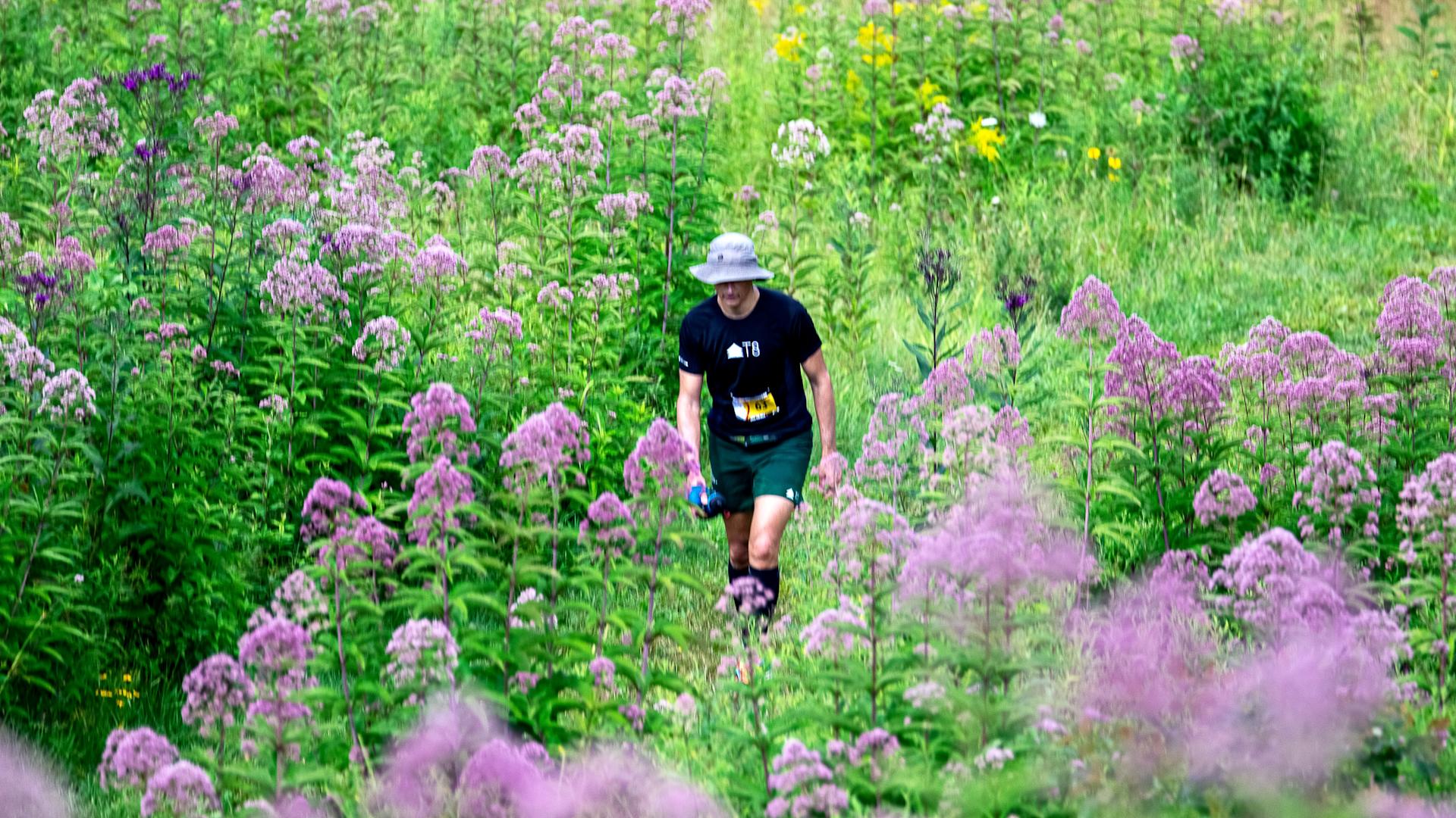 Cover Image for BR100 Purple Flowers