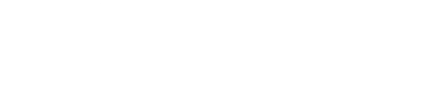 Platinum Sun & Shade