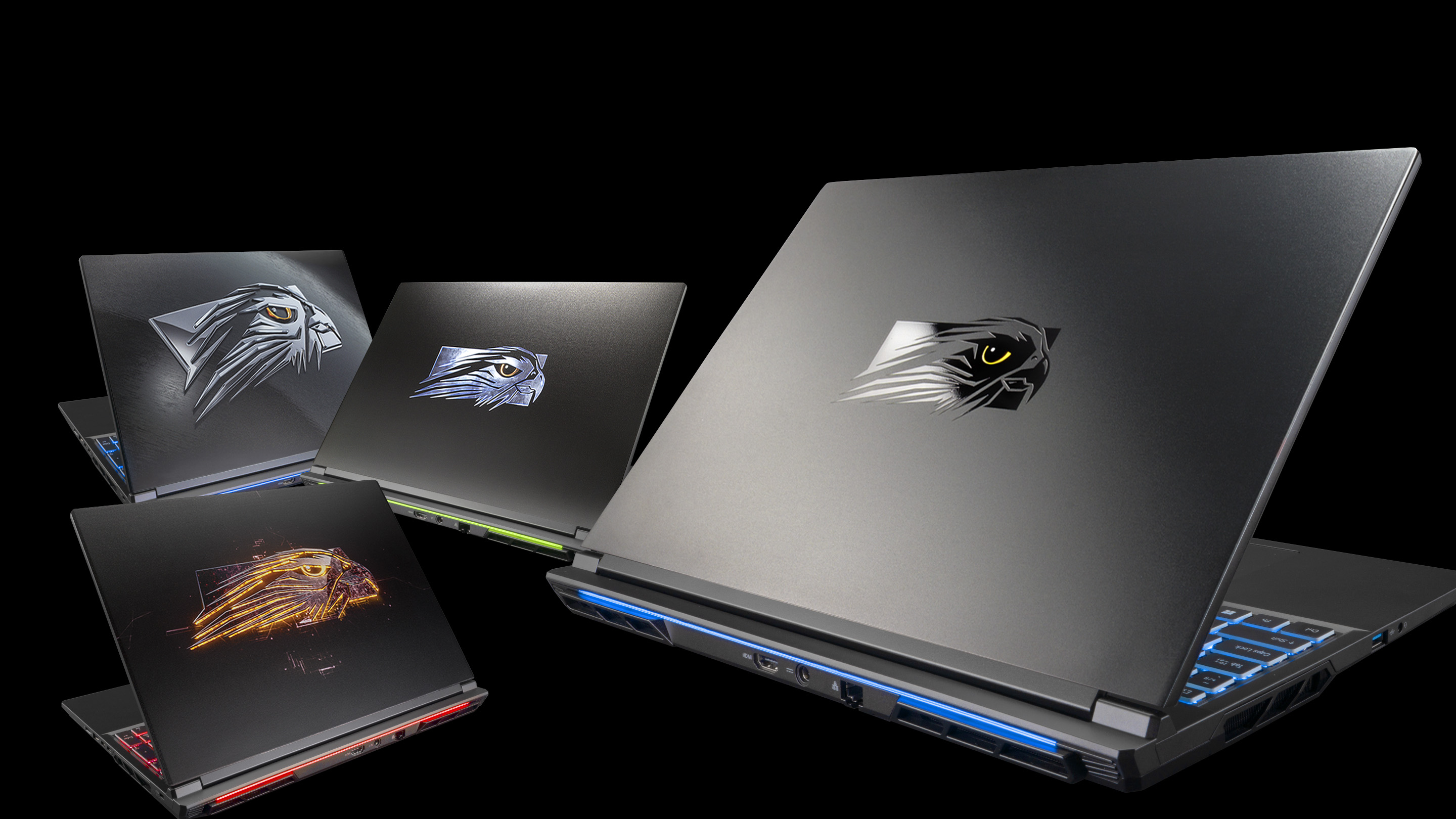 The World's Most Powerful Gaming Laptop! The TLX from Falcon Northwest
