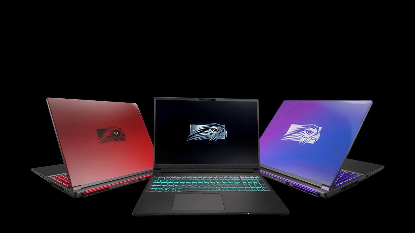 The World's Most Powerful Gaming Laptop! The TLX from Falcon Northwest