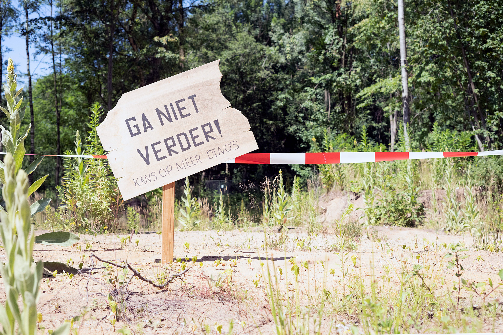 Ontdek het dino tijdspad in de bunker