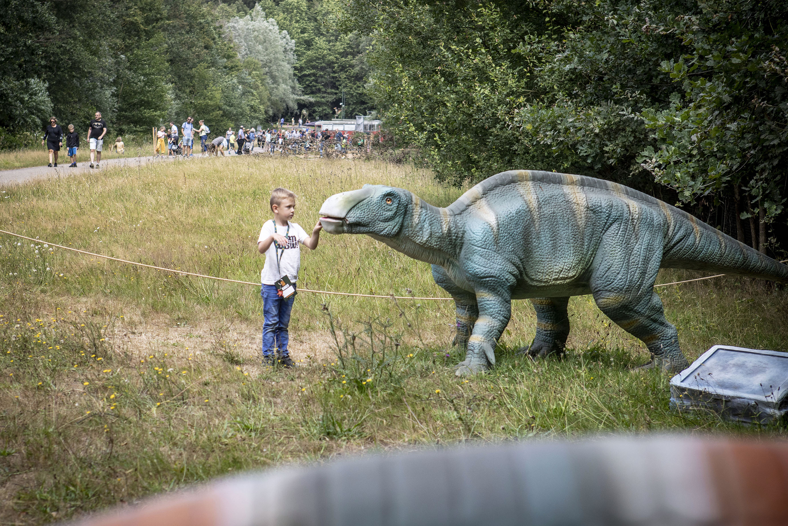 Leer meer over dino's