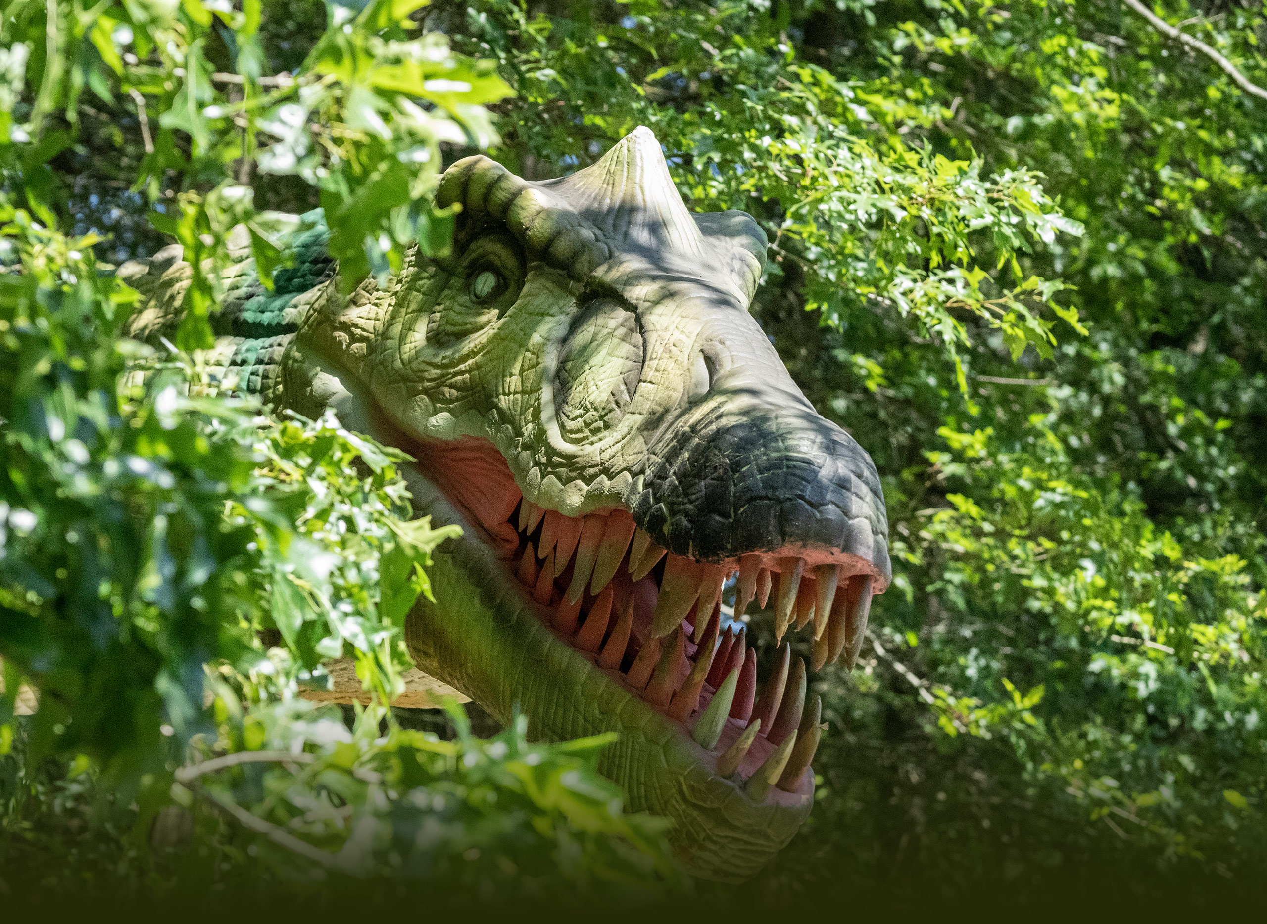 Oog in oog met brullende dino's