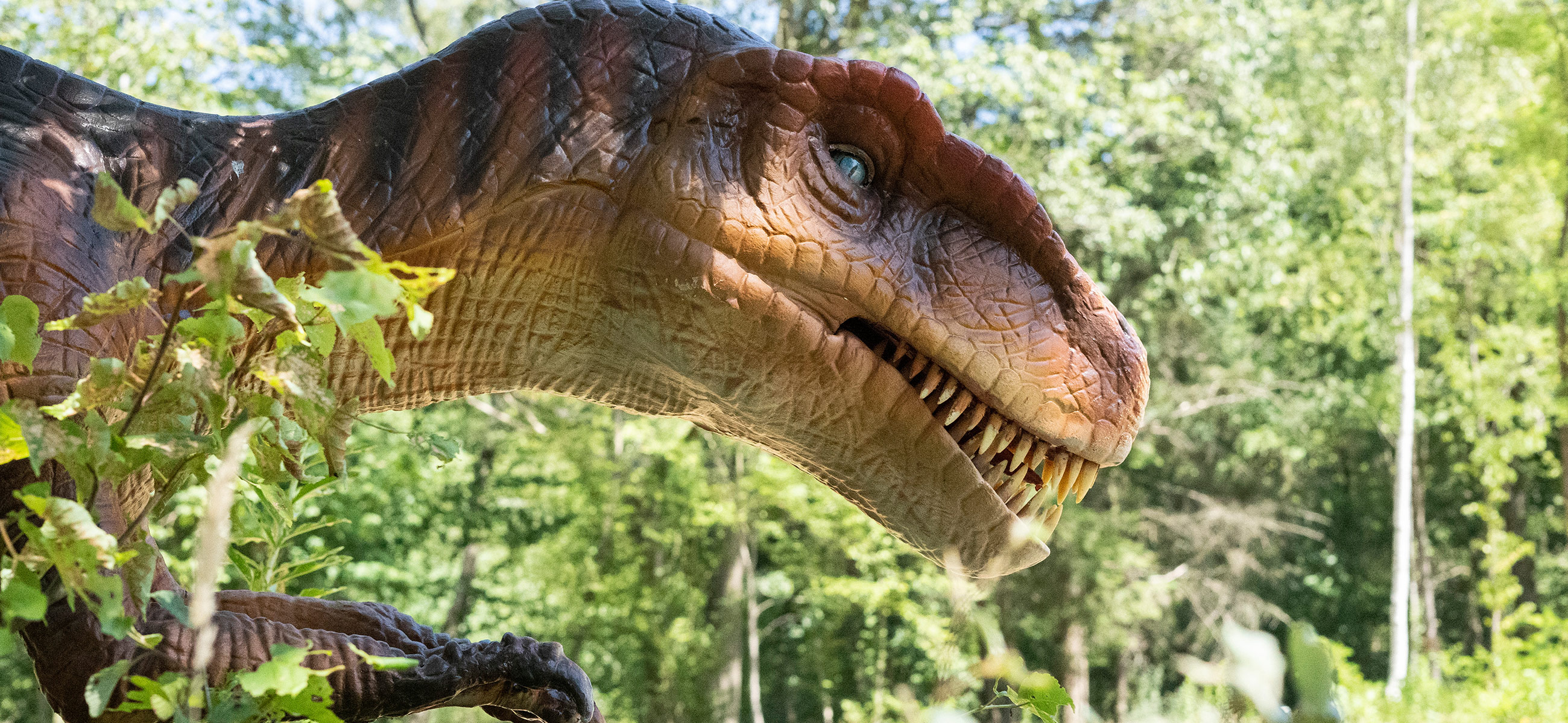 Dino Fabriek een sensationele ontdekkingstocht