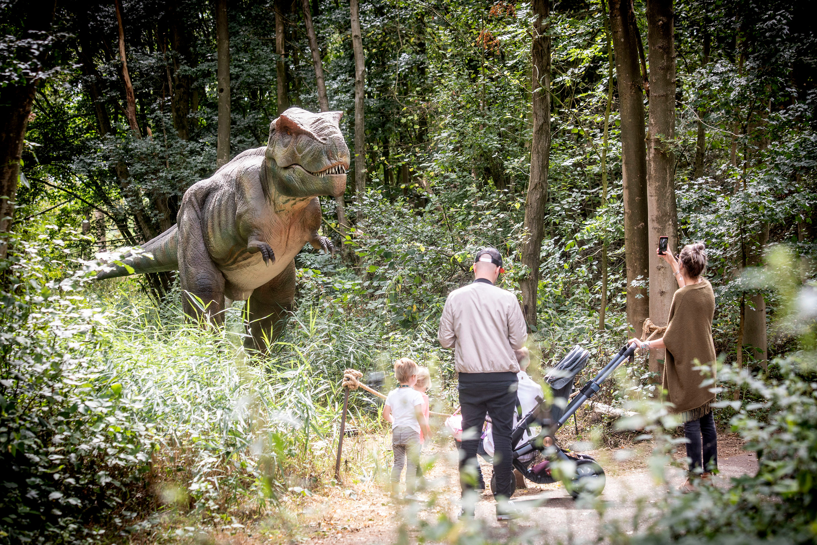 Beelden tot wel 10 meter lang!