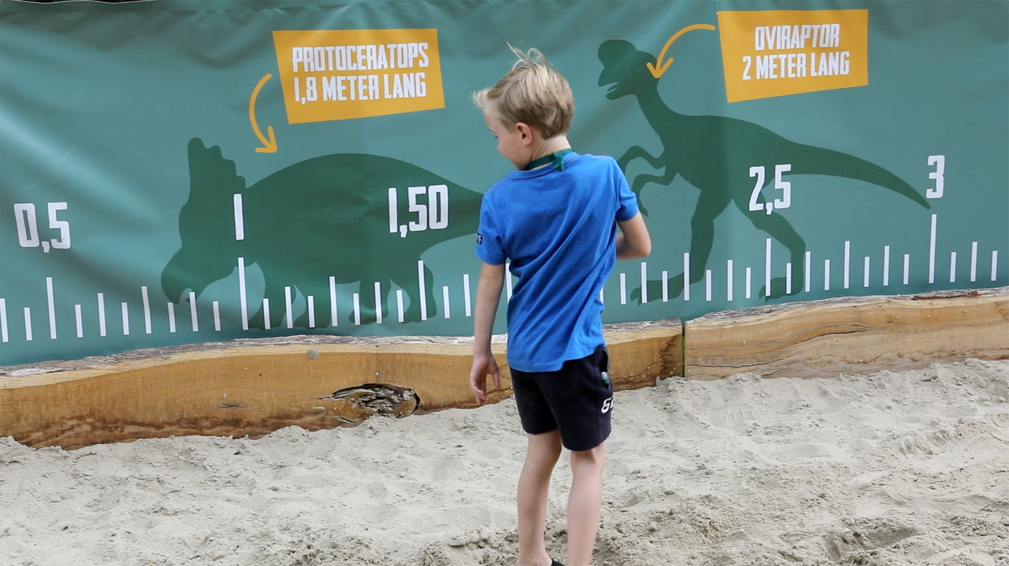 Het dino behendigheidsplein