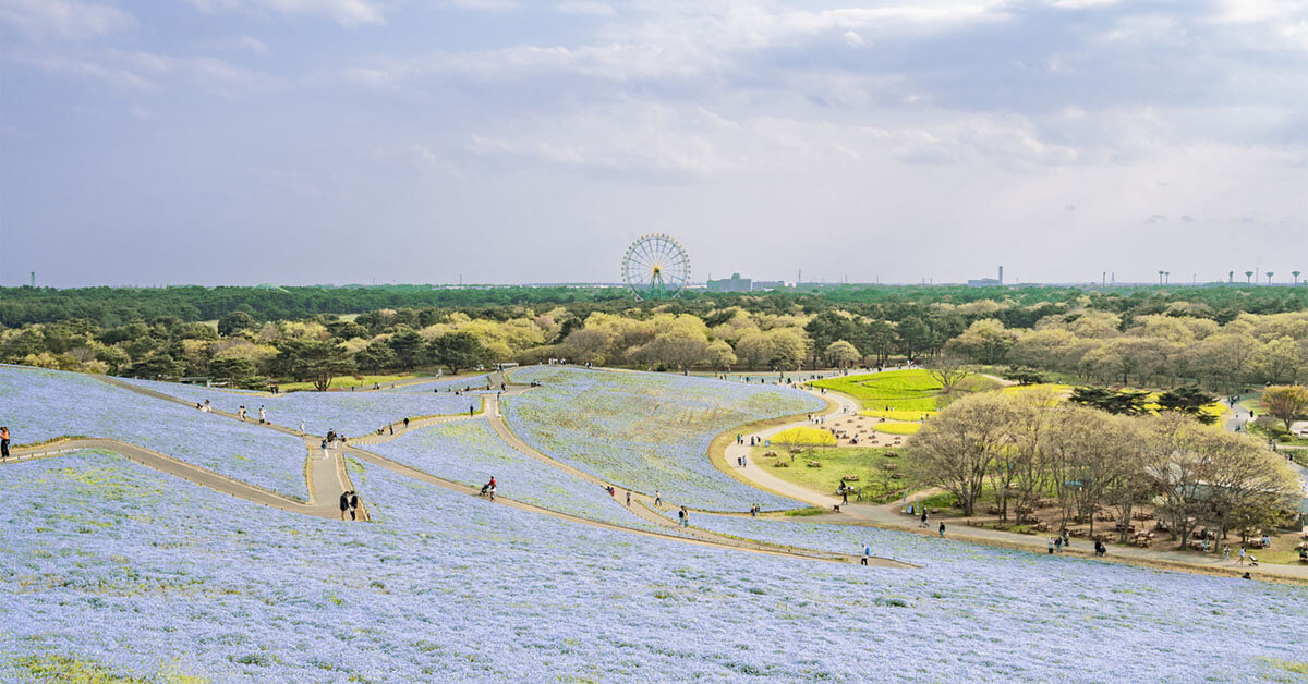 【2025年最新版】茨城県の製造業大手企業ランキング-本社、工場がある企業で比較