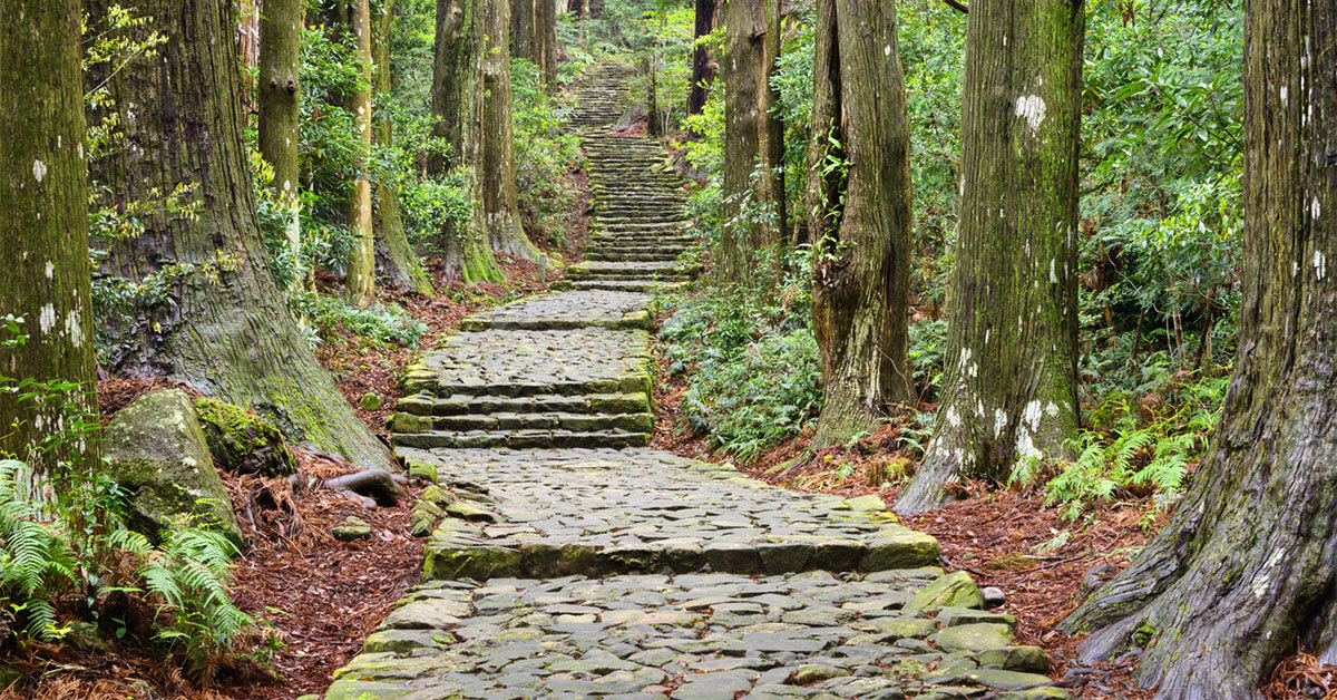 【2025年最新版】和歌山県の製造業大手企業ランキング-本社、工場がある企業で比較