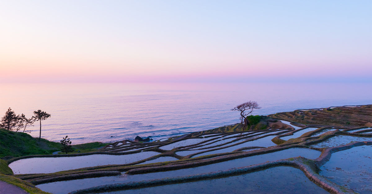 【2025年最新版】石川県の製造業大手企業ランキング-本社、工場がある企業で比較