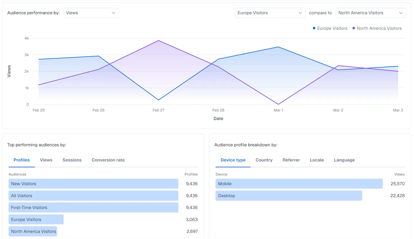Analytics: Top performing audiences