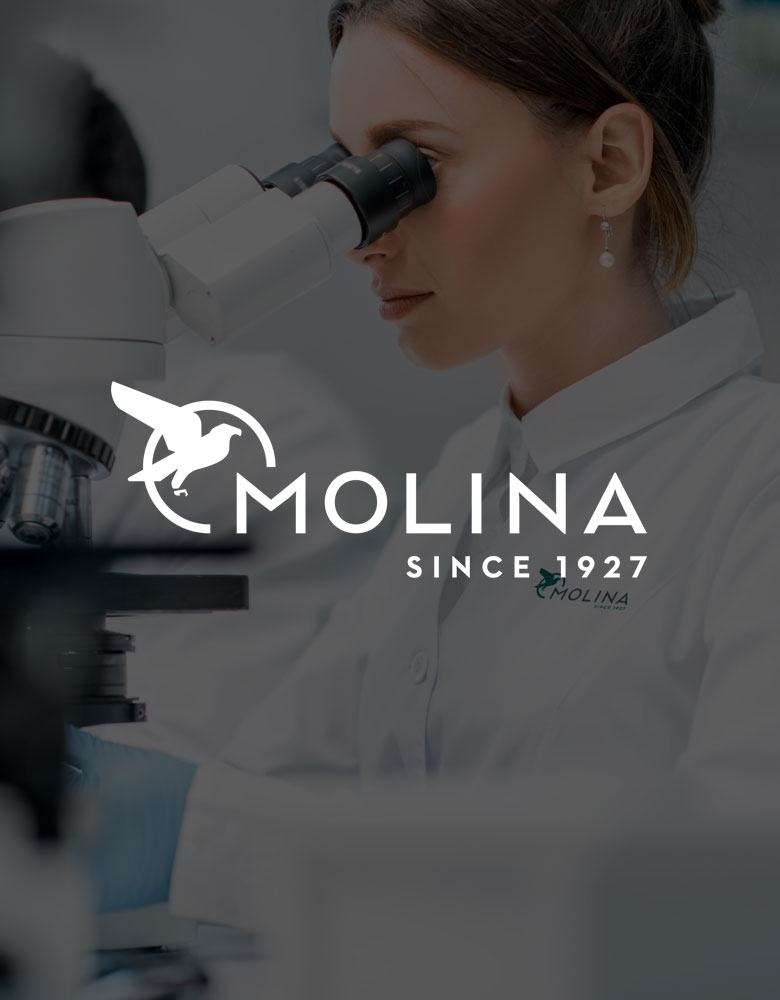 Ricardo Molina