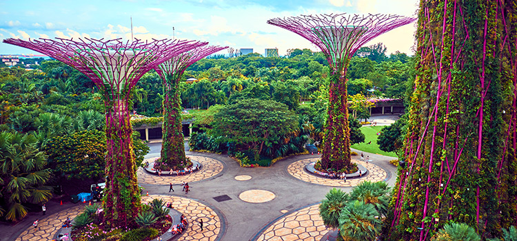 Gardens by the bay.
