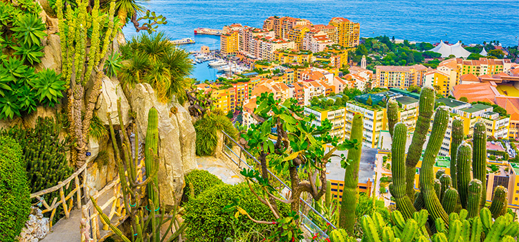 Jardin Exotique view of Port de Fontvieille in Monaco