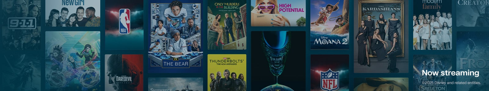DisneyPlus's banner