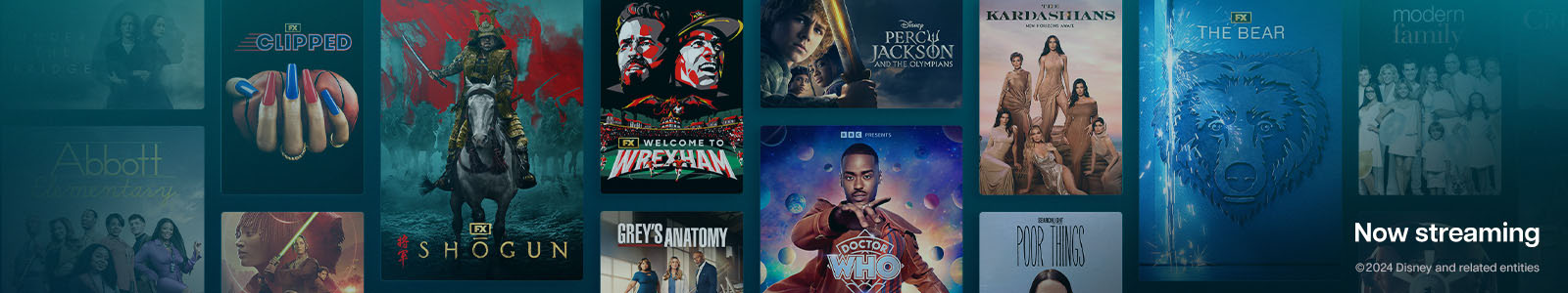 DisneyPlus's banner