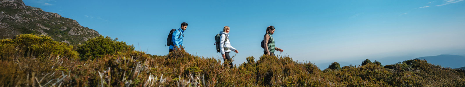 The North Face's banner