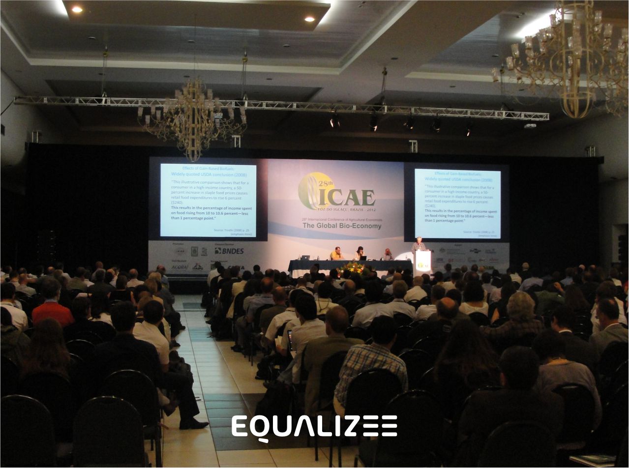 28th International Conference of Agricultural Economists 1