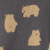 Bears