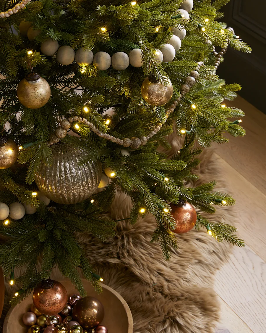 ChristmasTree Spruce 093
